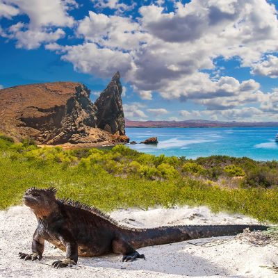 世界遺産「ガラパゴス諸島」ってどんな場所？魅力や固有種、基本情報を解説