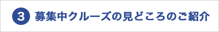 募集中クルーズの見どころのご紹介