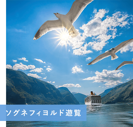ソグネフィヨルド遊覧
