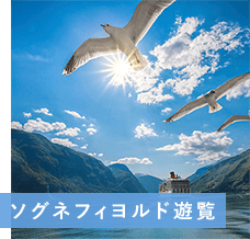 ソグネフィヨルド遊覧