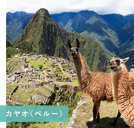 ソグネフィヨルド遊覧