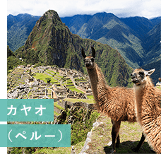 ソグネフィヨルド遊覧