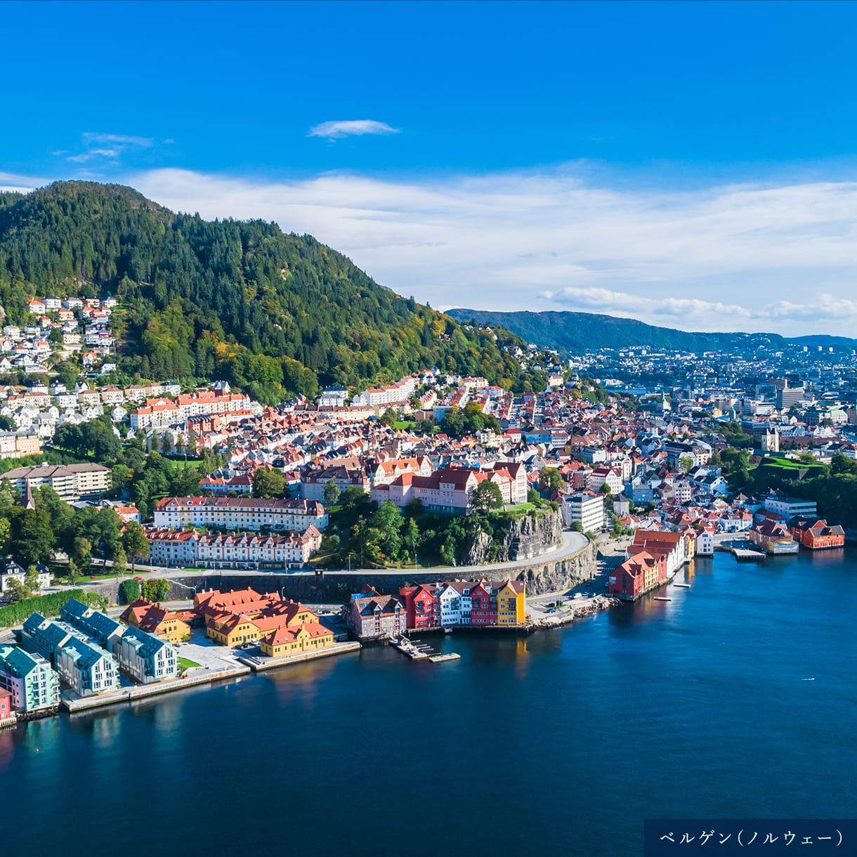 アラスカフィヨルド遊覧(イメージ)