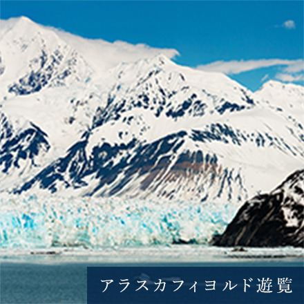 アラスカフィヨルド遊覧（イメージ）