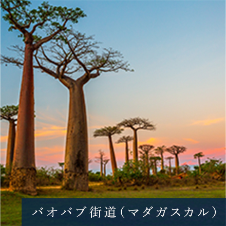 モアイ像（イースター島）