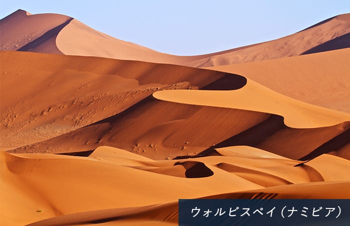 南極クルーズ＊オーバーランドツアー