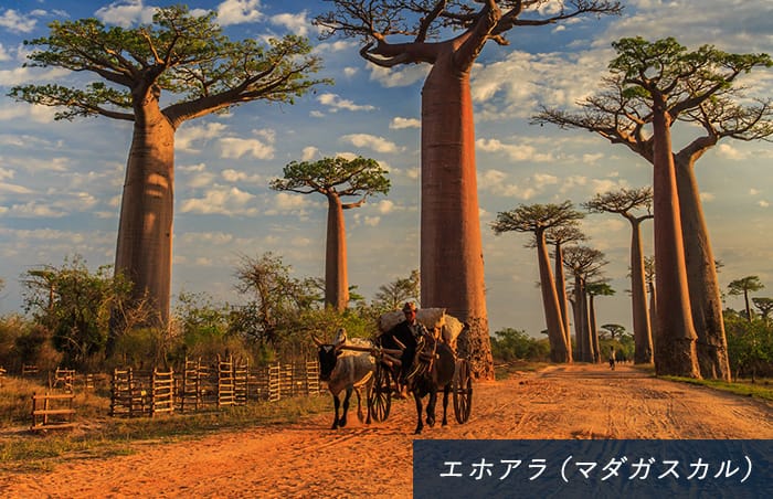 シドニー（オーストラリア）