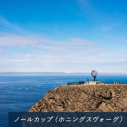 アラスカフィヨルド遊覧（イメージ）