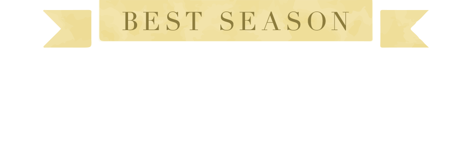 春出航クルーズだからこそ ベストシーズンのヨーロッパへ