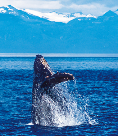 大自然を間近に感じる