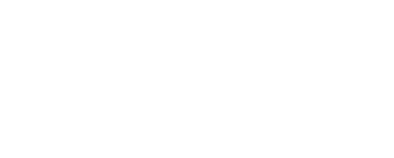 実績豊富で、 安心と信頼の ピースボートクルーズ