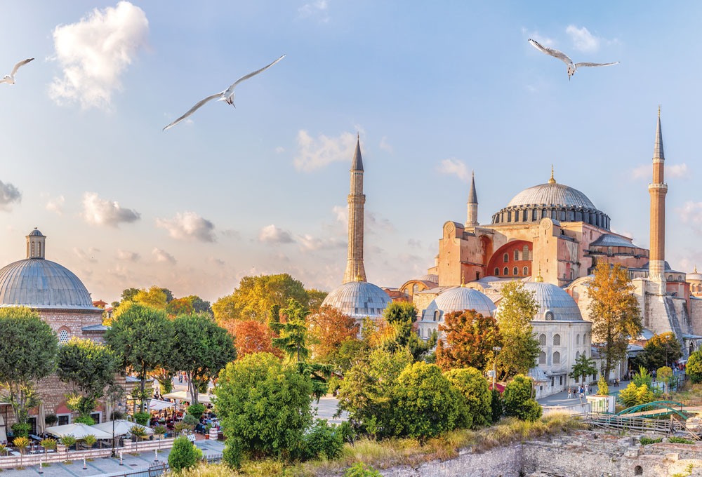 地中海・中南米・南太平洋コース