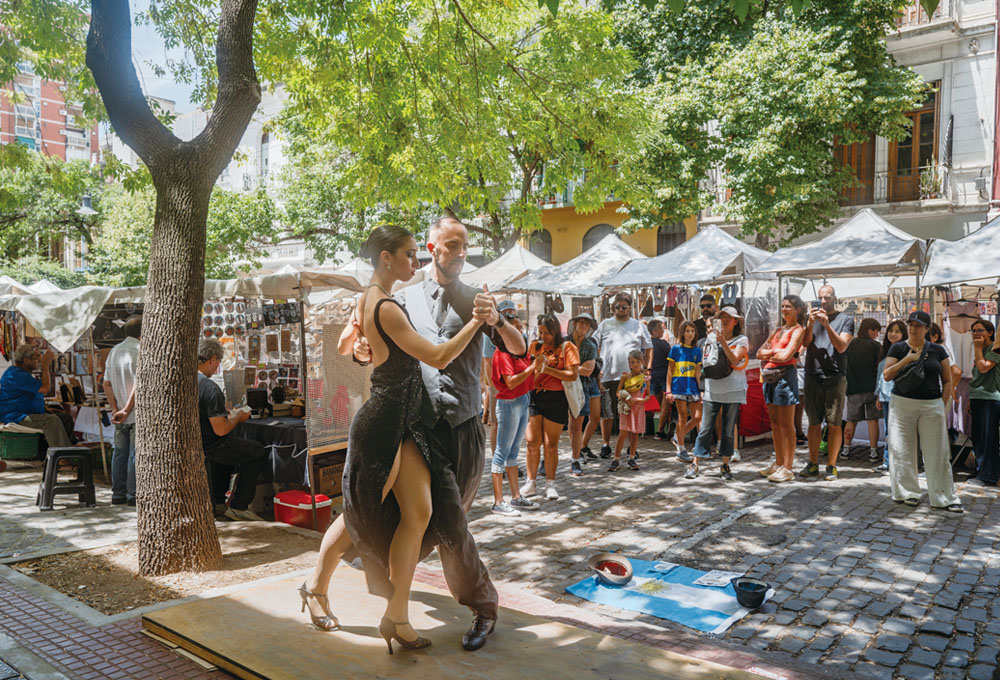 南極航路　アフリカ＆南米コース