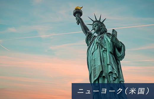 ニューヨーク（米国）