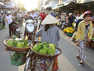 第74回地球一周の船旅