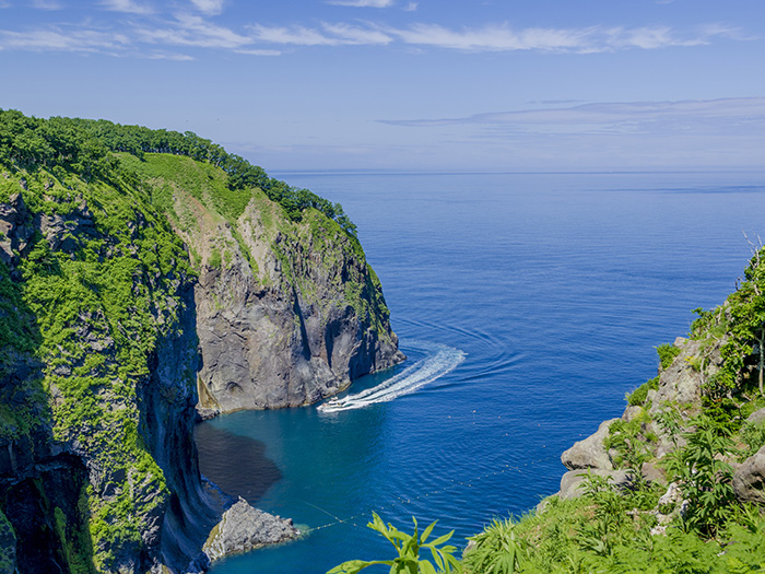 クルーズ旅行で思い出に残る夏休みに