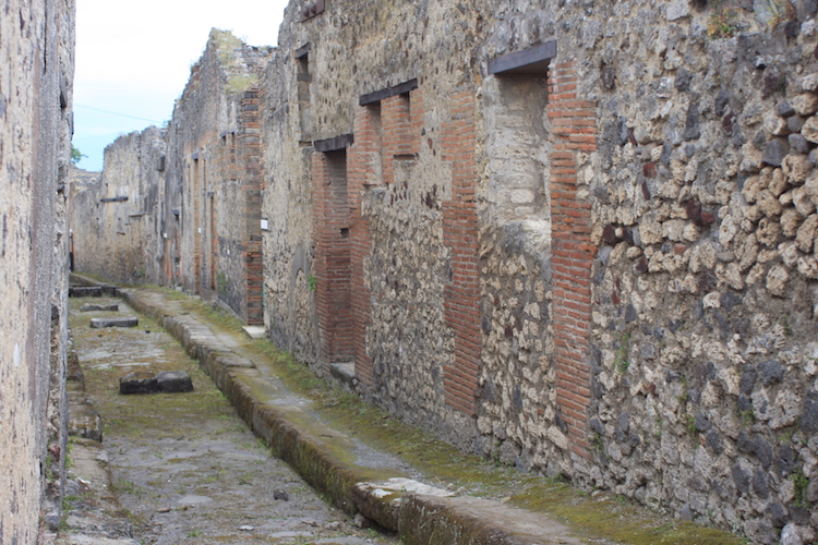 第69回地球一周の船旅