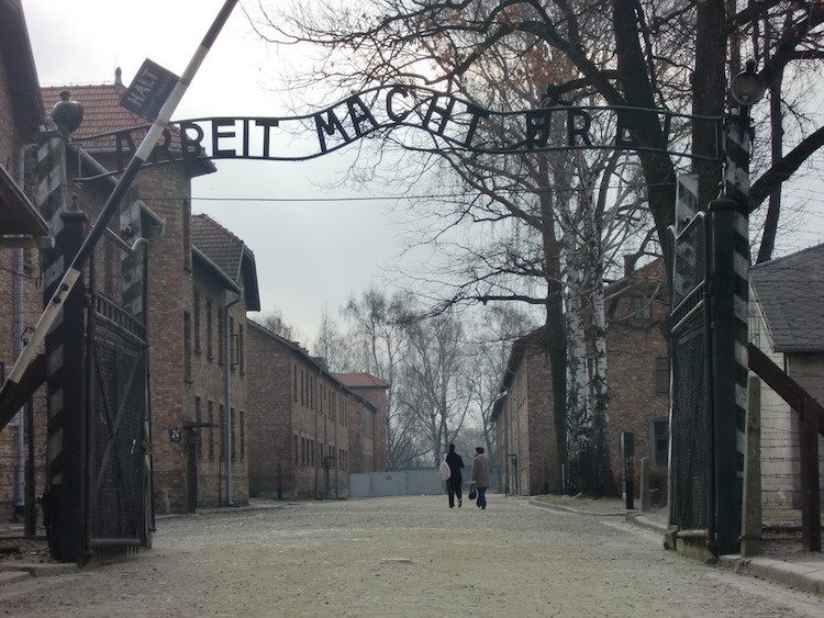 第69回地球一周の船旅