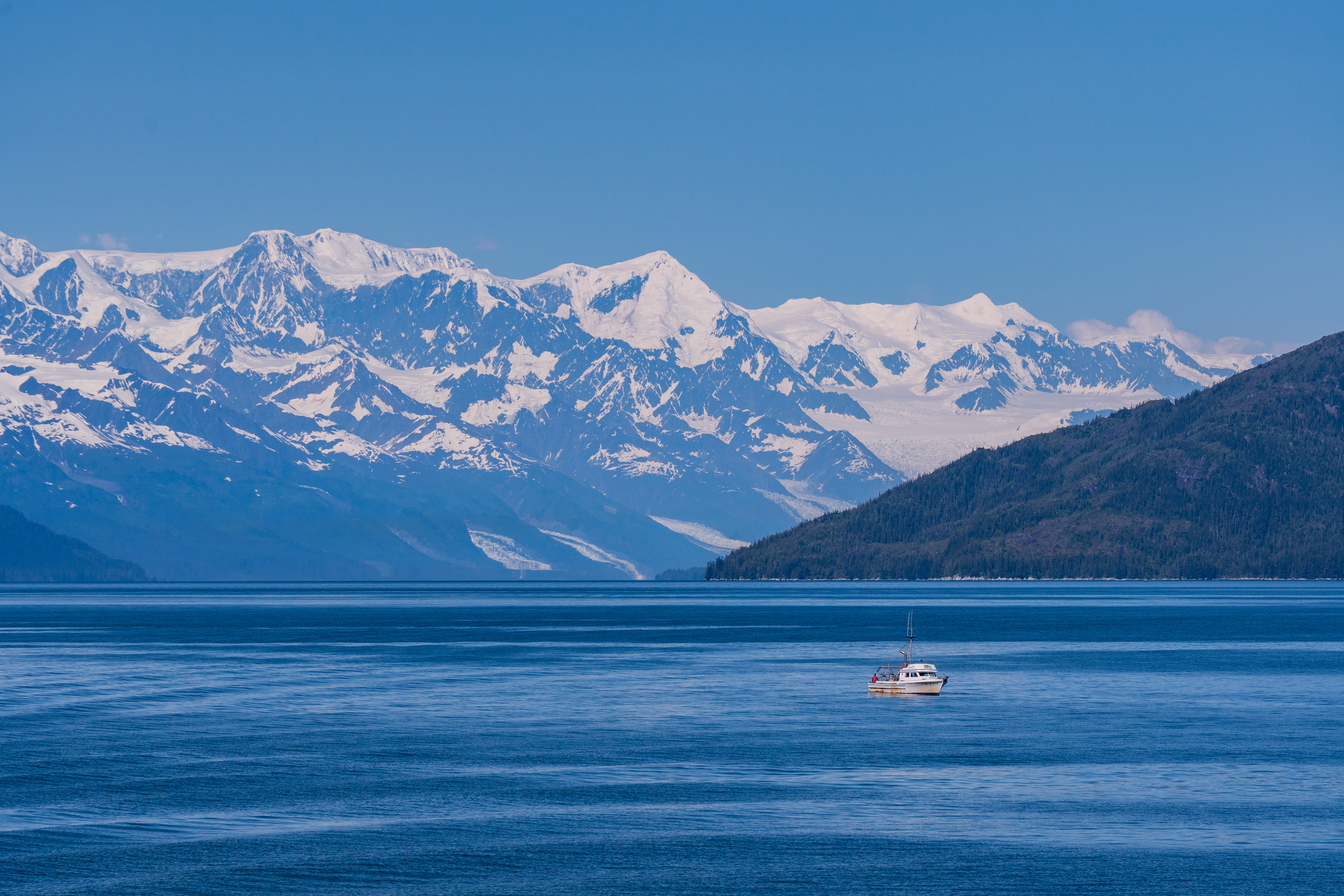 オプショナルツアー