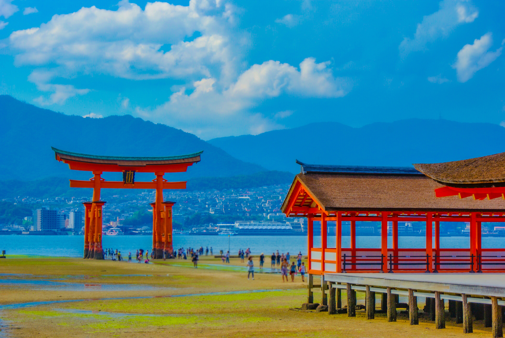 オプショナルツアー