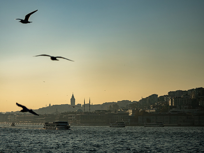 悠久のアラブ世界をクルーズする-航海作家が選ぶ歴史航海-