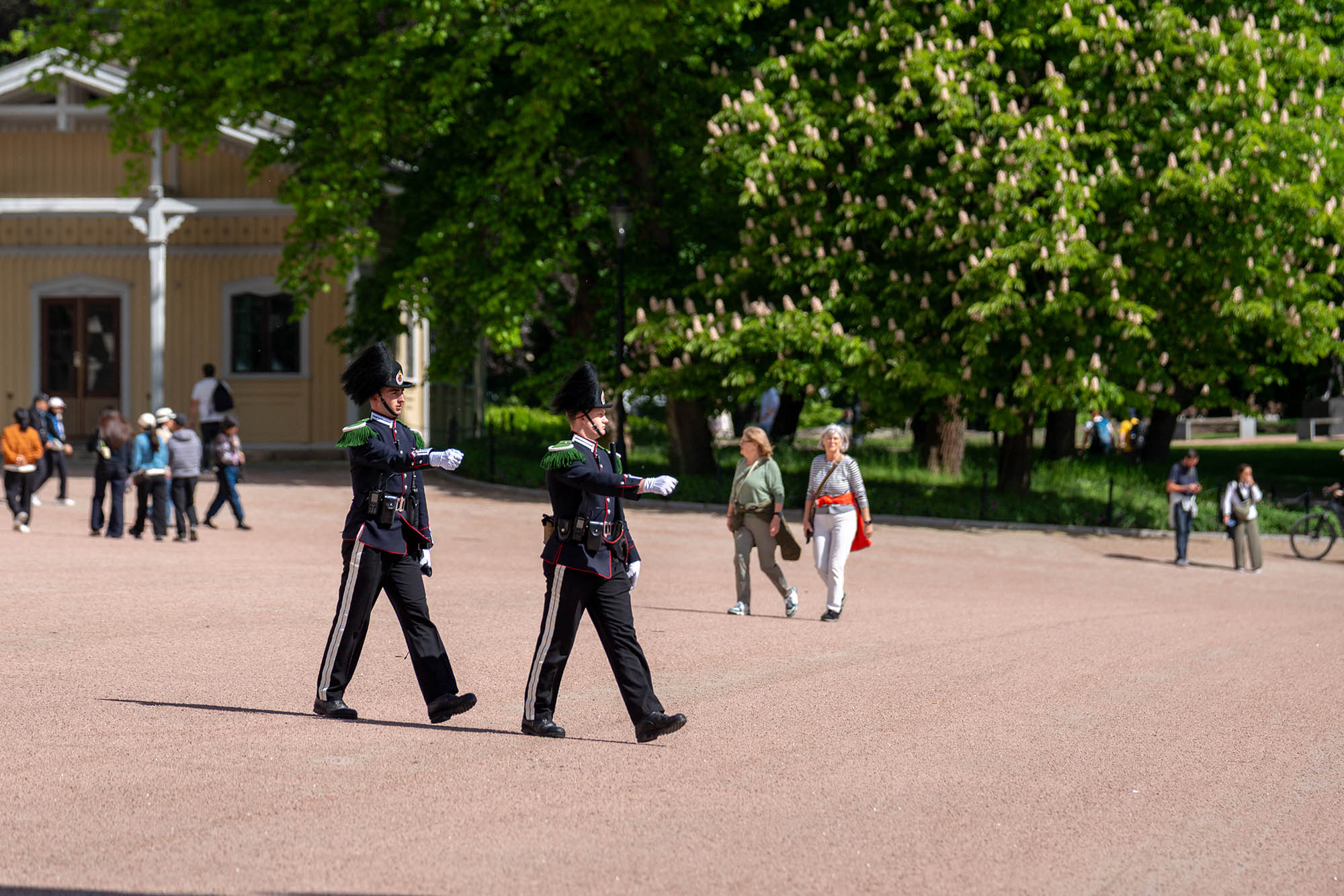 伝統を受け継ぐ王宮（オスロ）-1